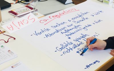 Training in Trauma Sensitive Support for education, school and daycare professionals